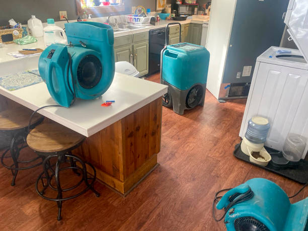 Best Commercial water damage restoration  in East Porterville, CA