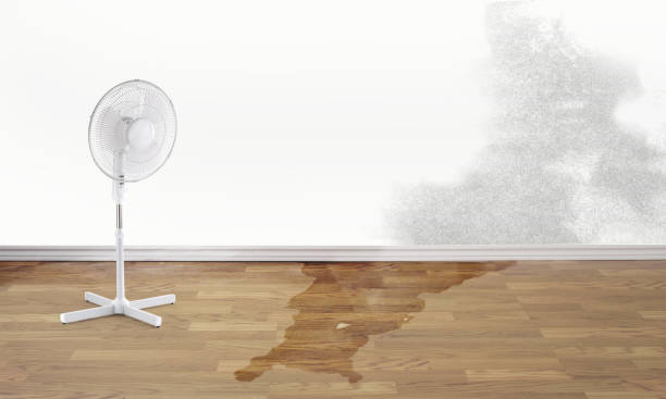 Best Sewage cleanup and water damage restoration  in East Porterville, CA