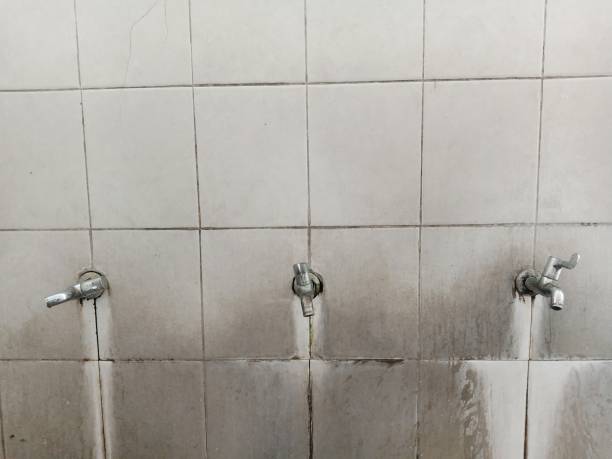 Best Carpet water damage restoration  in East Porterville, CA